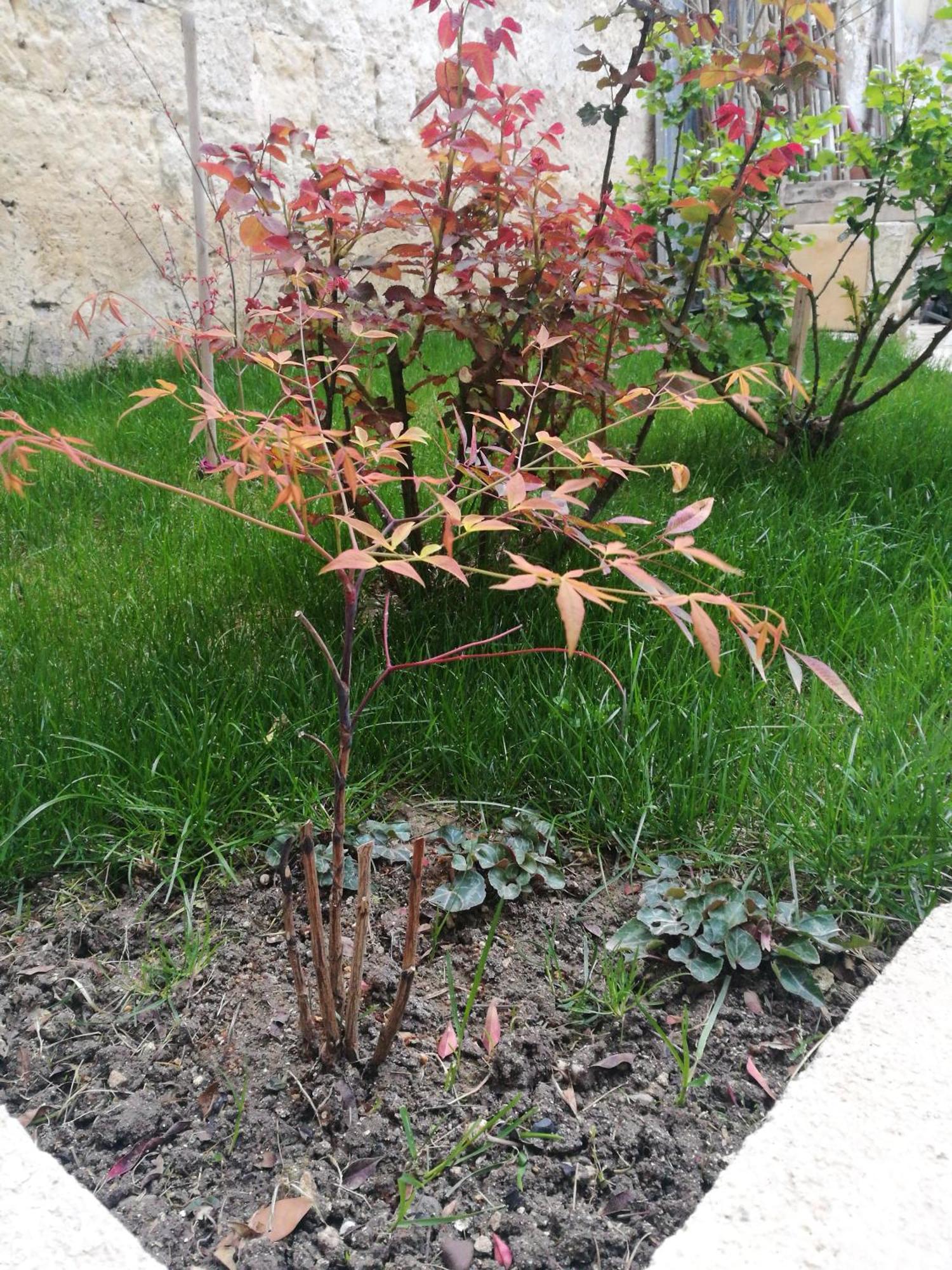 B&B 4U Matera Zewnętrze zdjęcie